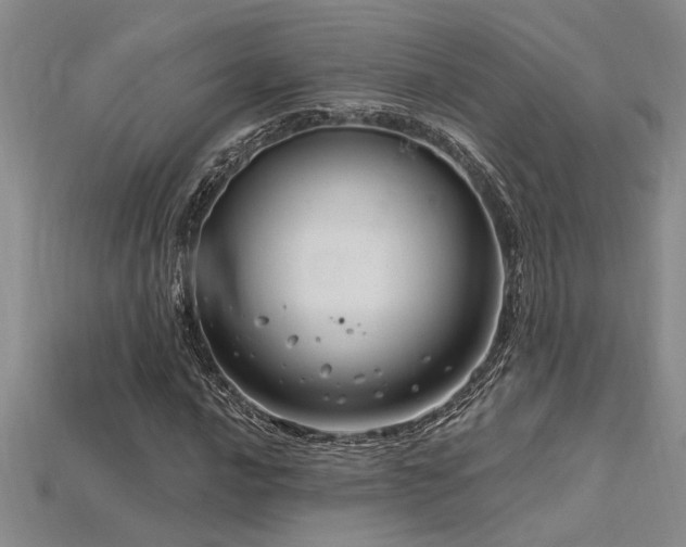 X0000115811016200911131416
