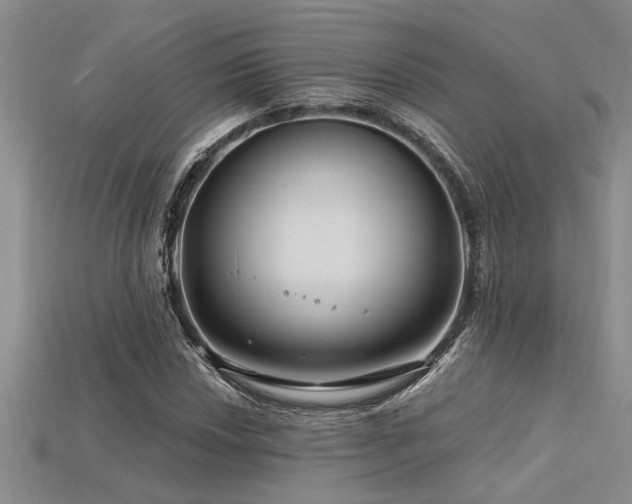 X0000115811018200911131416