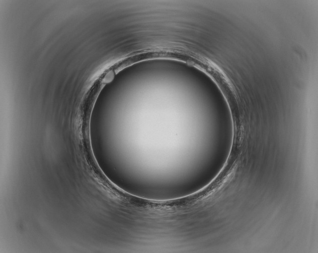 X0000115811019200911131416