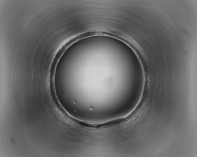 X0000115811020200911131416
