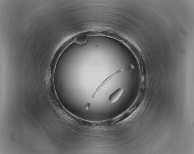 X0000115811021200911131416