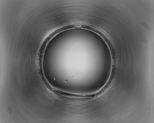 X0000115811022200911131416