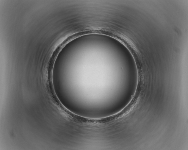X0000115811023200911131416