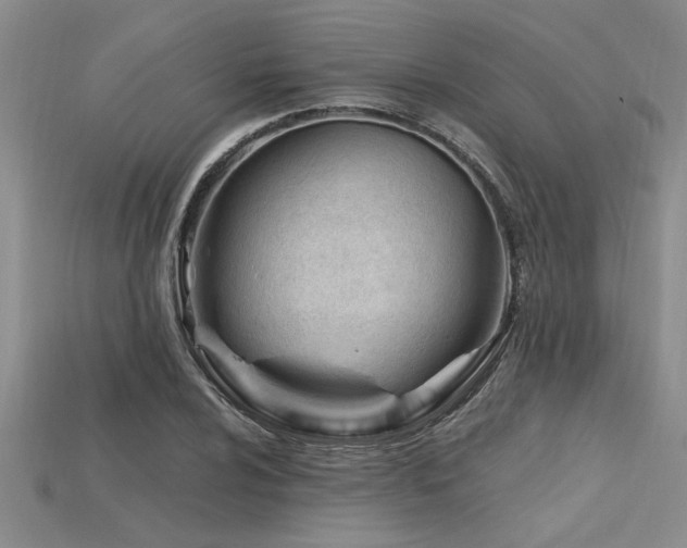 X0000115811024200911131416