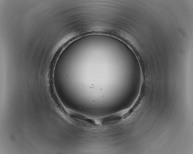 X0000115811026200911131416