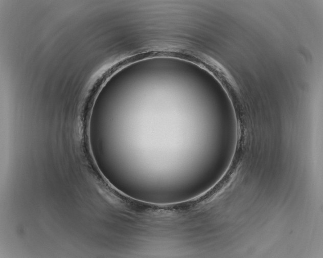 X0000115811027200911131416