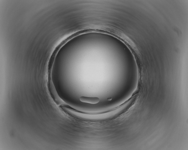 X0000115811028200911131416