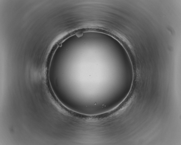 X0000115811029200911131416