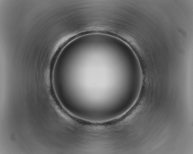X0000115811030200911131416