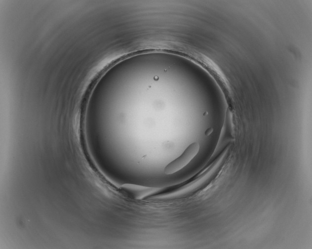 X0000115811035200911131416