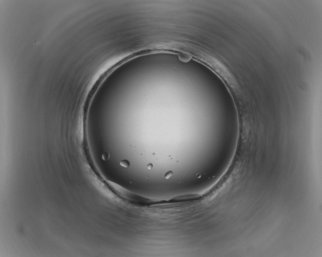 X0000115811036200911131416