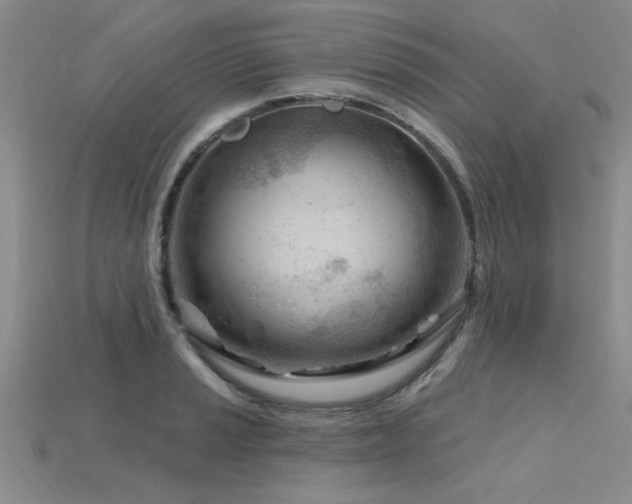 X0000115811037200911131416