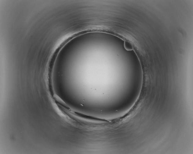 X0000115811038200911131416