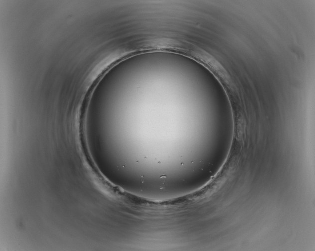 X0000115811039200911131416