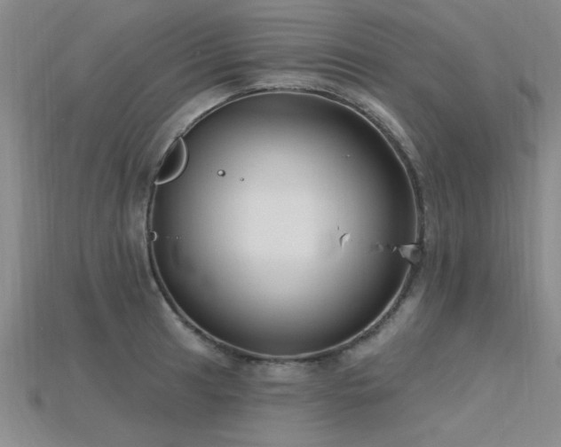 X0000115811041200911131416