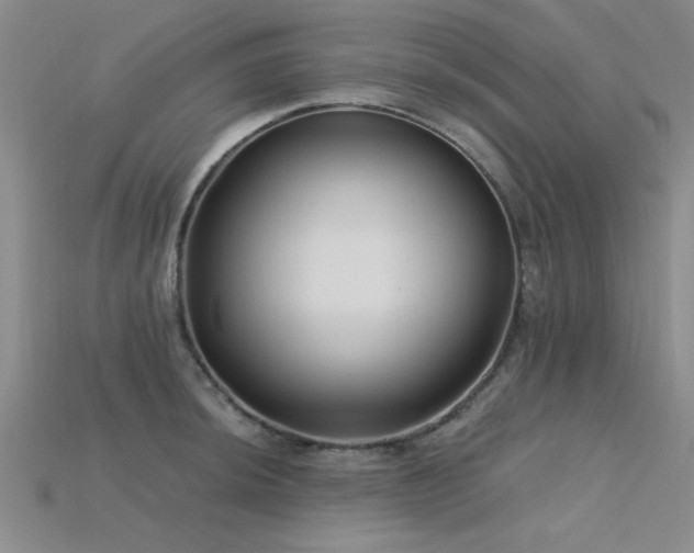 X0000115811044200911131416