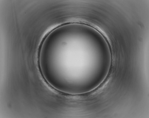 X0000115811045200911131416