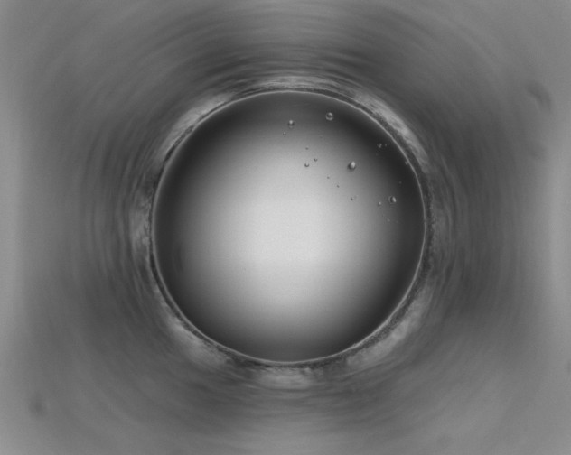 X0000115811049200911131416