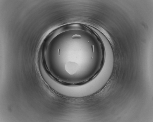 X0000115811051200911131416