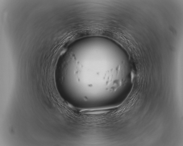 X0000115811057200911131416