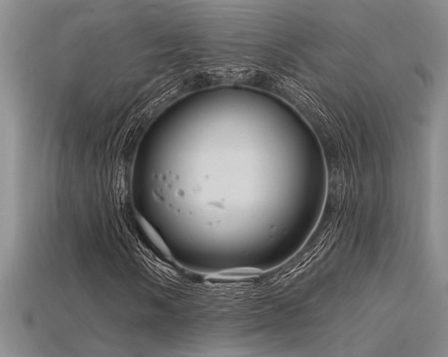 X0000115811058200911131416