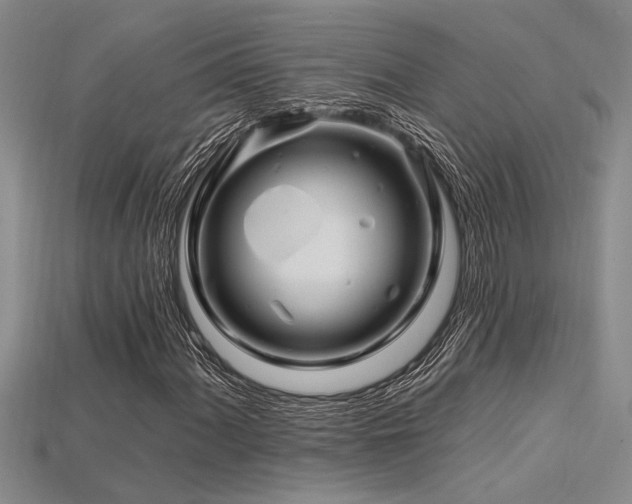 X0000115811060200911131416