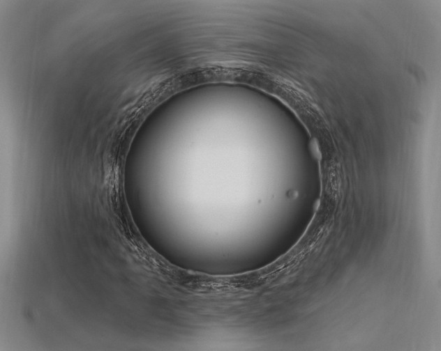 X0000115811061200911131416