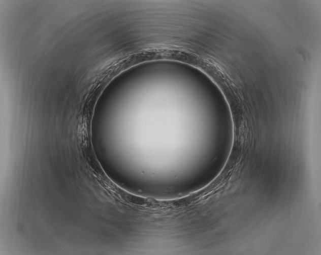 X0000115811062200911131416