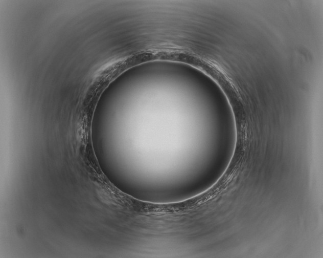 X0000115811063200911131416
