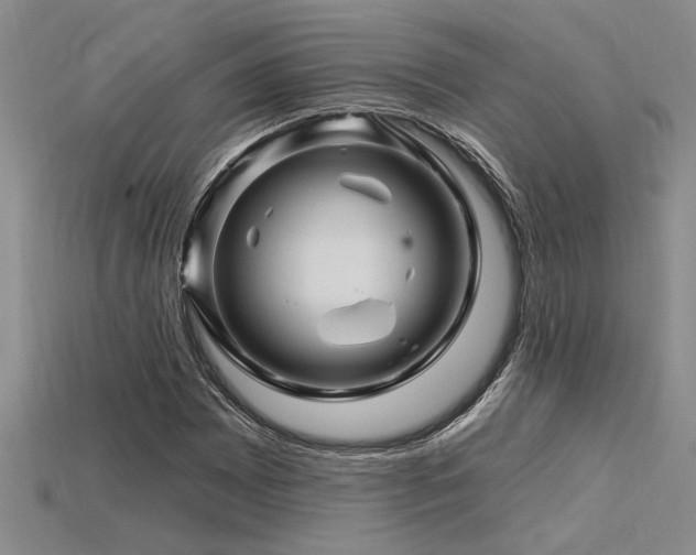 X0000115811065200911131416
