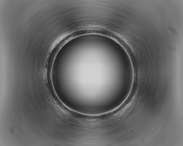 X0000115811066200911131416