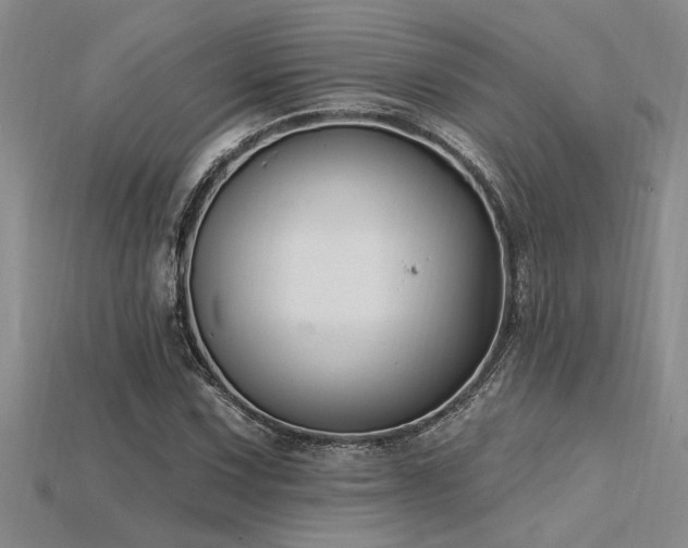 X0000115811067200911131416