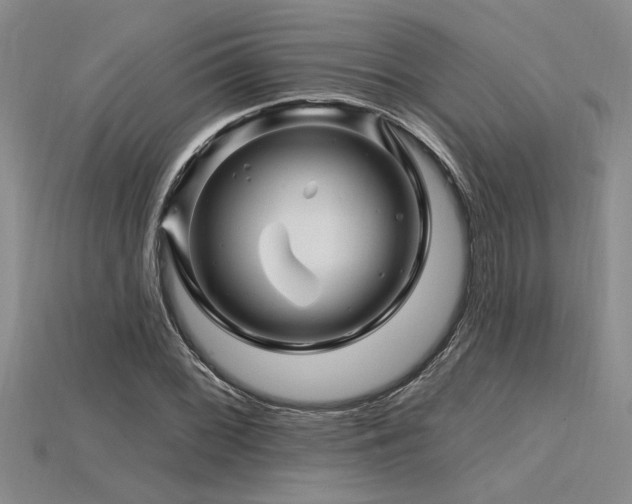 X0000115811068200911131416