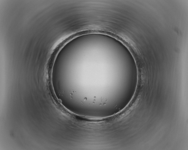 X0000115811070200911131416