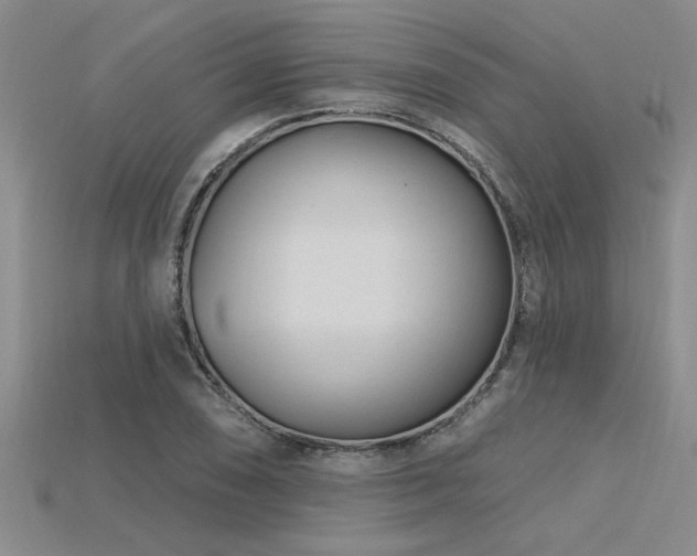 X0000115811074200911131416