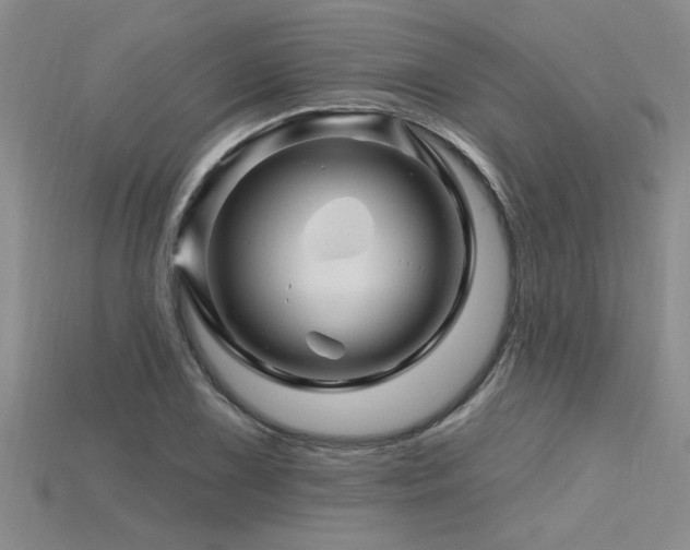 X0000115811075200911131416