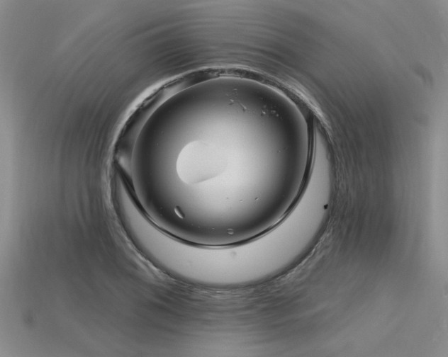 X0000115811076200911131416