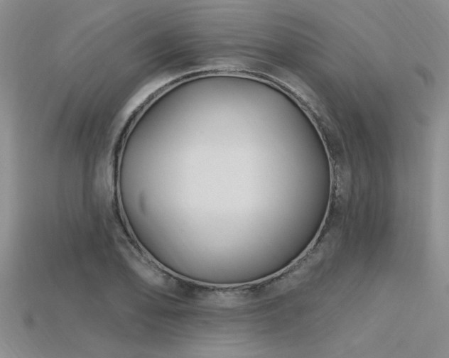 X0000115811078200911131416