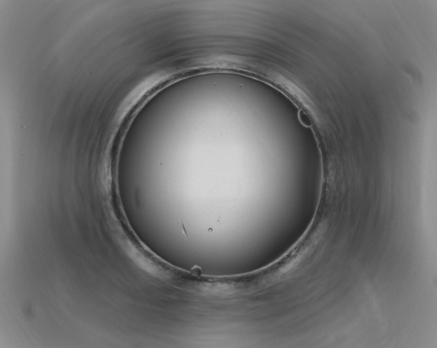 X0000115811082200911131415