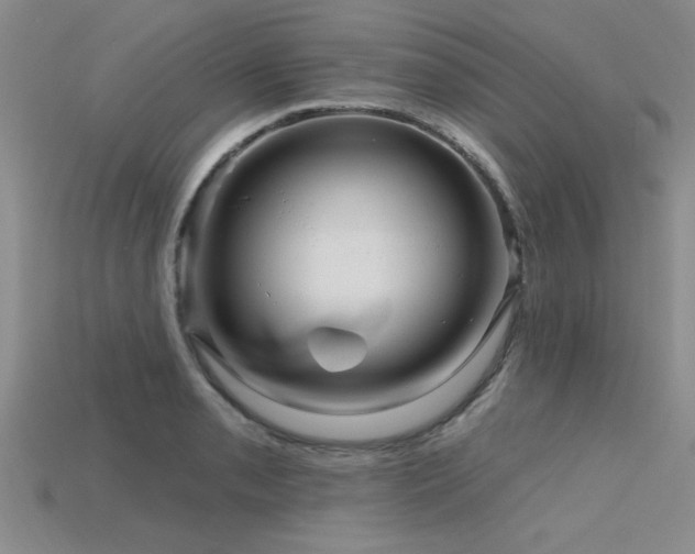 X0000115811085200911131415