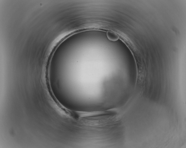 X0000115811086200911131415