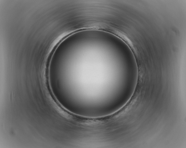 X0000115811091200911131415