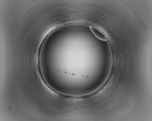 X0000115811095200911131415