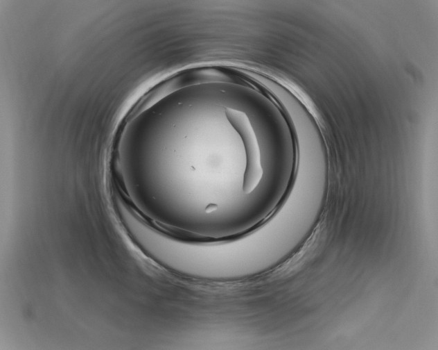 X0000115811101200911131415