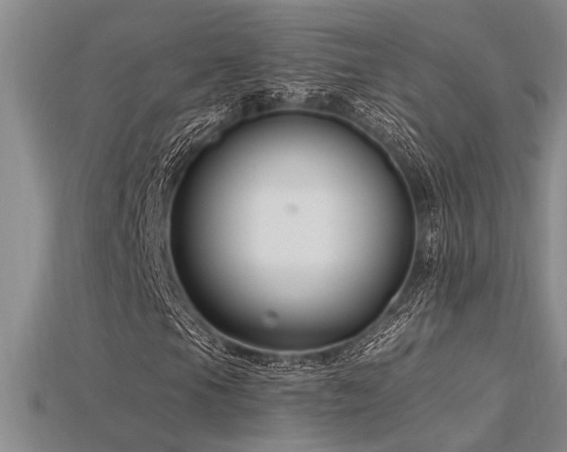 X0000115811105200911131415