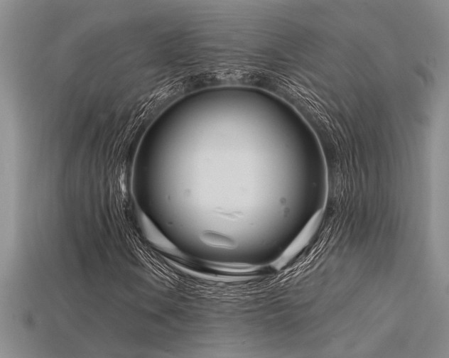 X0000115811106200911131415