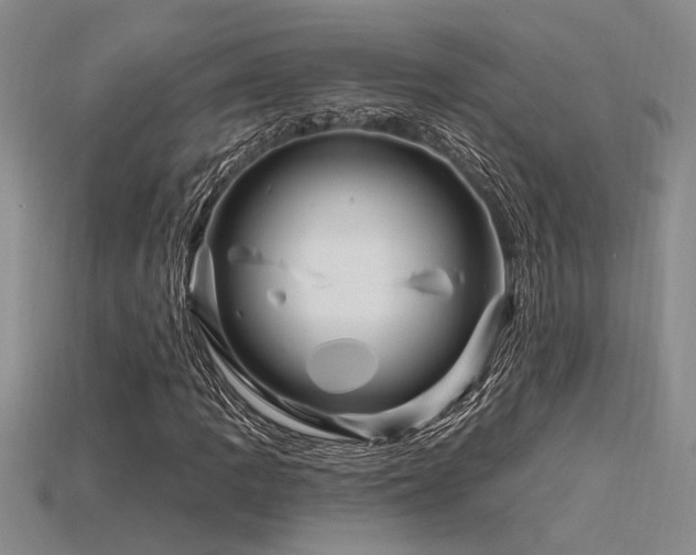 X0000115811109200911131415