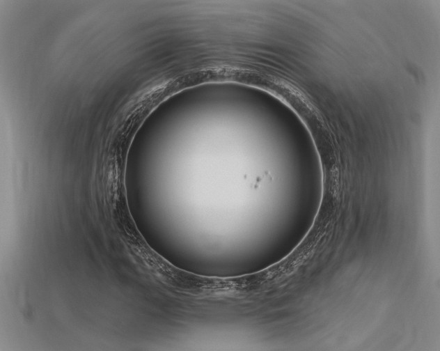 X0000115811111200911131415