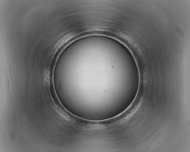 X0000115811113200911131415