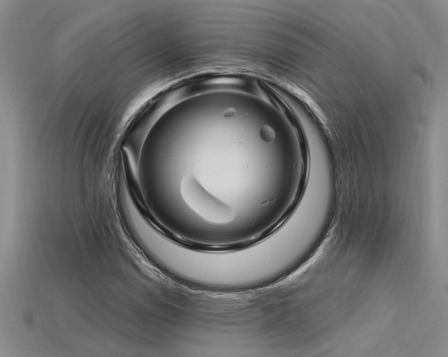 X0000115811114200911131415
